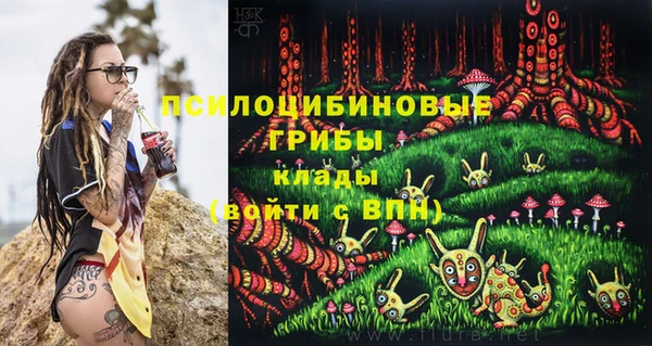 каннабис Михайловка