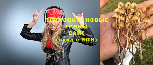 крисы Бутурлиновка
