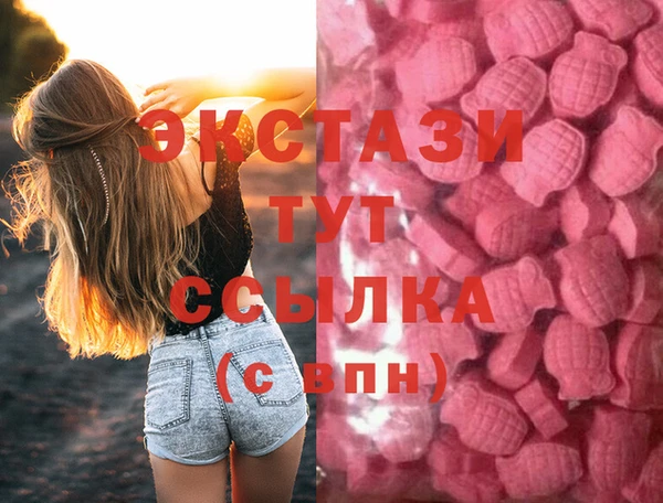 стафф Гусев