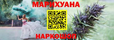 индика Будённовск