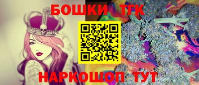 индика Будённовск