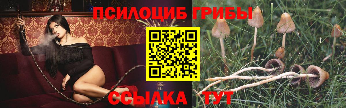 где найти   Галлюциногенные грибы MAGIC MUSHROOMS  Вход с VPN  Псилоцибиновые грибы Psilocybe  Киреевск 