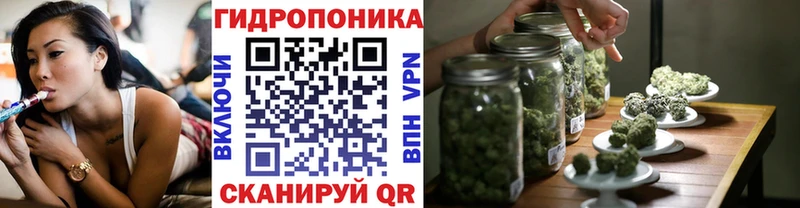 купить наркотики цена mega как войти Бошки Шишки конопля Киреевск