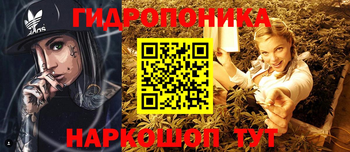 Бошки марихуана планчик  Бошки марихуана Amnesia  Киреевск  Каннабис Amnesia  Вход с VPN 
